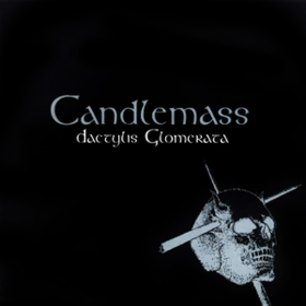 Dactylis Glomerata Candlemass