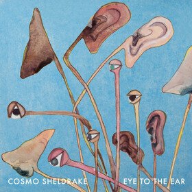Eye To the Ear Cosmo Sheldrake