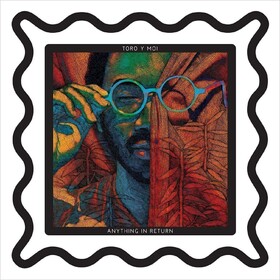 Anything In Return (10th Anniversary Edition Picture Disc) Toro Y Moi