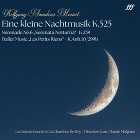 Eine Kleine Nachtmusik K.525 W. A. Mozart