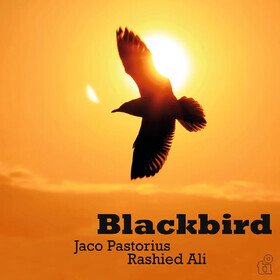 Blackbird (Green Vinyl) Jaco Pastorius & Rashied Ali