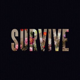 Survive EP (Limited Edition) Lewis Capaldi