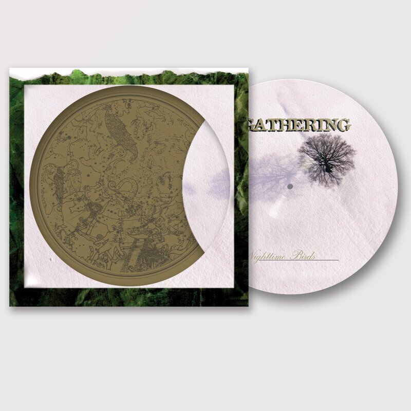 Nighttime Birds (Picture Disc)