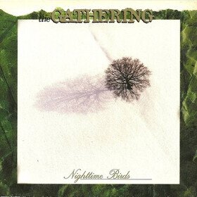 Nighttime Birds (Picture Disc) The Gathering