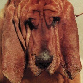 Goodbye Bread Ty Segall