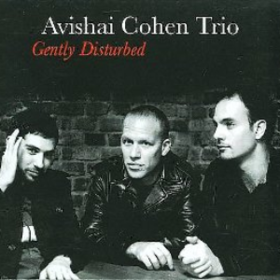 Gently Disturbed Avishai Cohen
