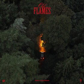 Old Flames La Roux