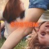 System (Coloured)