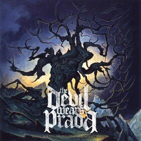 With Roots Above And Branches Below Devil Wears Prada