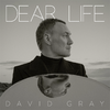 Dear Life (Limited Edition)