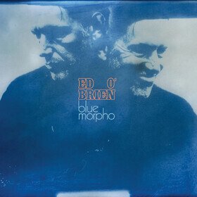 Blue Morpho Ed O'Brien