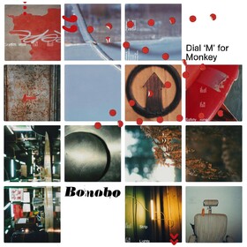 Dial 'M' for Monkey Bonobo
