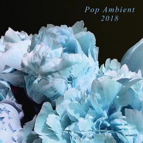 Pop Ambient 2018 Various Artists