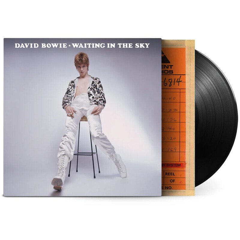 Waiting In The Sky (RSD 2024)