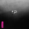 Lotus (Limited Splatter Edition)