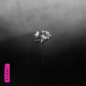 Lotus (Limited Splatter Edition) Little Simz