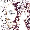 Club Sodade (Greatest Hits Remixed)