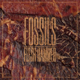 Flesh Hammer Fossils