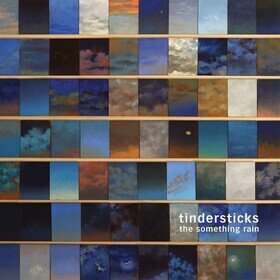 Something Rain Tindersticks