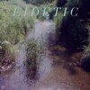 Eidetic