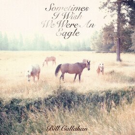 Sometimes I Wish We Were An Eagle Bill Callahan