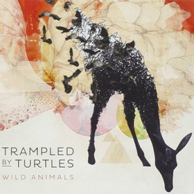 Wild Animals Trampled By Turtles
