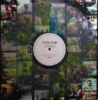 Cavalier Youth (Signed) 
