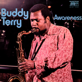 Awareness Buddy Terry