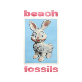 Bunny Beach Fossils