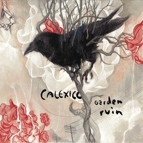 Garden Ruin Calexico