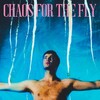 Chaos For the Fly