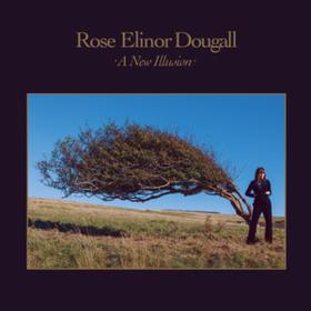 A New Illusion Rose Elinor Dougall