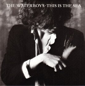 This is the Sea Waterboys