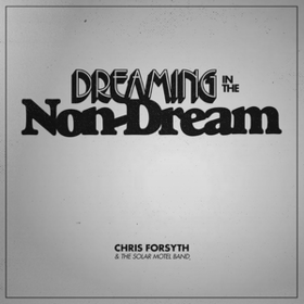 Dreaming In The Non-dream Chris Forsyth