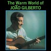Warm World Of Joao Gilberto (Limited Edition)