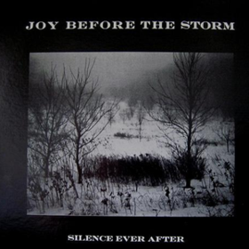Silence Ever After Joy Before The Storm