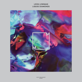 Liquid Diamonds Leon Lowman