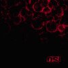 Blood (Limited Edition)