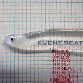 Event Beat Holy Fuck