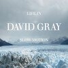 Life In Slow Motion (20th Anniversary Edition) (Coloured)