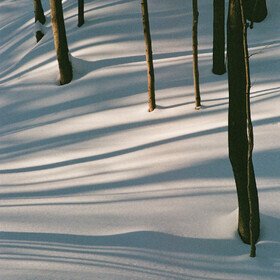 Fables Isabel Pine