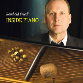 Inside Piano Reinhold Friedl