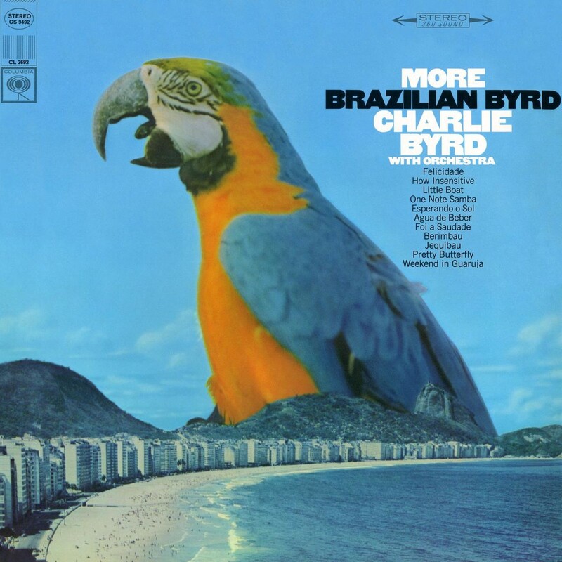 More Brazilian Byrd