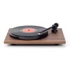Planar 1 Plus Walnut
