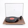 Planar 1 Plus Walnut