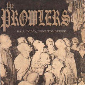 Hair Today Gone Tomorrow Prowlers