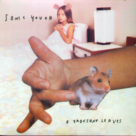 A Thousand Leaves Sonic Youth