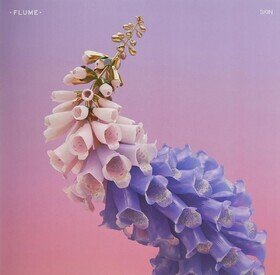 Skin (Limited Edition) Flume