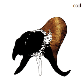 Black Antlers Coil