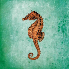 Seahorse Ginger